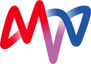 Logo der MVV Enamic GmbH