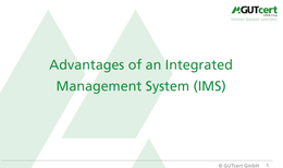 Advantages of an integrated management system