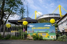 Borussia Dortmund e.V.