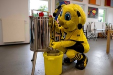 Borussia Dortmund e.V.