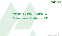Vorteile eines IMS im Überblick