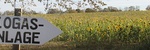 Fotolia (jetzt Adobe Stock)