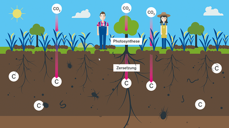 Darstellung einer landwirtschaftlichen Kohlenstoffsenke von myclimate Anschauliche Darstellung einer landwirtschaftlichen Kohlenstoffsenke