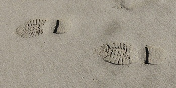Carbon Footprint
