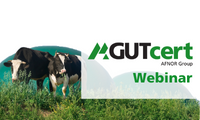 Kühe auf grüner Wiese und GUTcert Logo