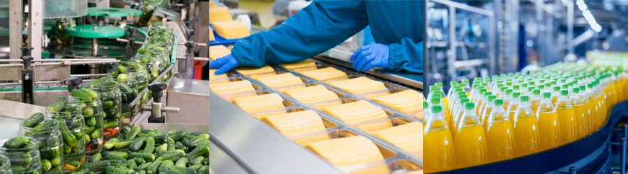 Gurkenfabrik, Kaeseproduktion, Getraenkefließband