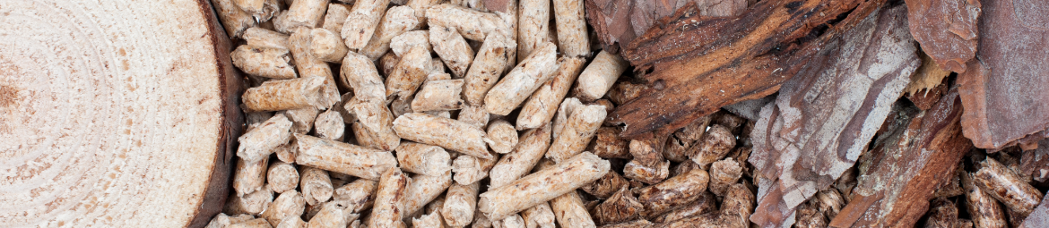 Holz in verschiedenen Verarbeitungsformen