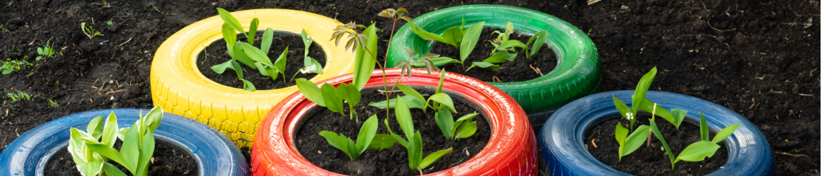 Wiederverwendete bunte Autoreifen als Blumentopf für die Pflanzenzuckt