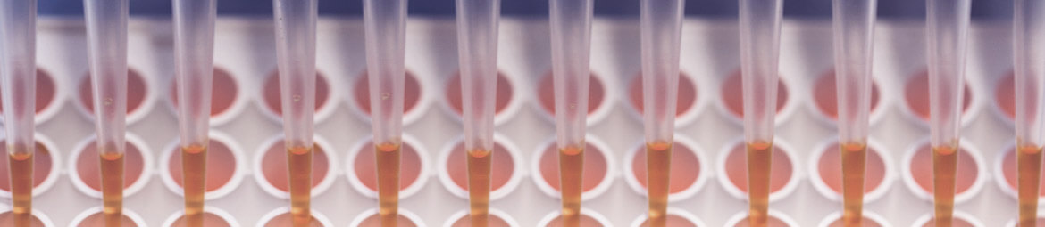 Pipettierung von orangener Flüssigkeit