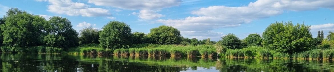 Blick aufs Wasser am Hafen Teltow